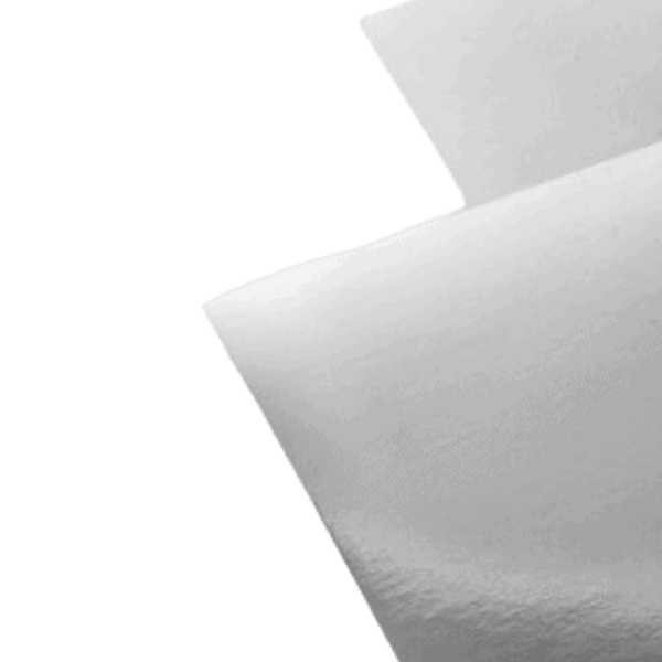 CARTULINA METALICA EUROMACSAIRA 47.5X66CM PLATA E10 C100